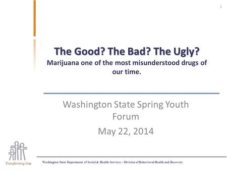 Washington State Department of Social & Health Services – Division of Behavioral Health and Recovery Transforming lives The Good? The Bad? The Ugly? The.
