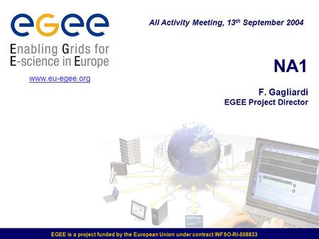EGEE is a project funded by the European Union under contract INFSO-RI-508833 NA1 F. Gagliardi EGEE Project Director All Activity Meeting, 13 th September.