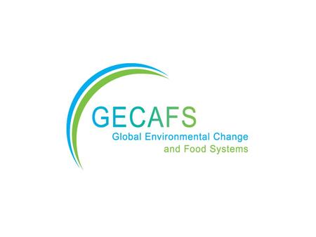 FAOCGIARWMO A food-secure future for those most vulnerable to environmental stress. GECAFS Vision.