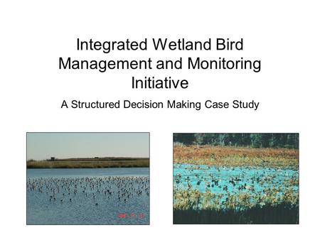 Integrated Wetland Bird Management and Monitoring Initiative A Structured Decision Making Case Study.