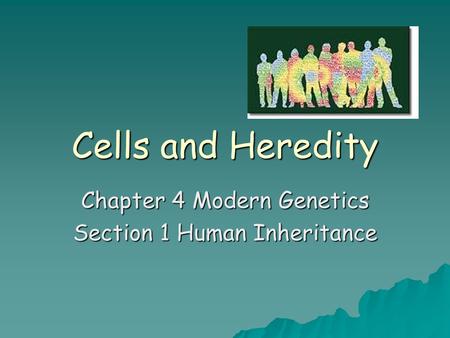 Chapter 4 Modern Genetics Section 1 Human Inheritance