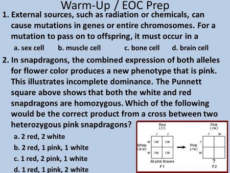 Warm-Up / EOC Prep 1. External sources, such as radiation or chemicals, can cause mutations in genes or entire chromosomes. For a mutation to pass on.