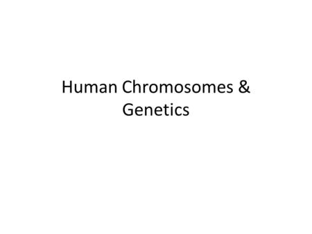 Human Chromosomes & Genetics. I. Intro to Human Genetics A. Of all the living things, there is one in particular that has always drawn our interest, that.