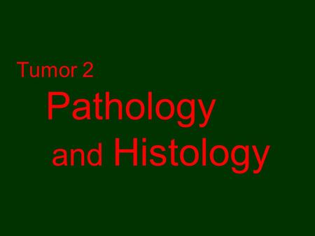 Tumor 2 Pathology and Histology.