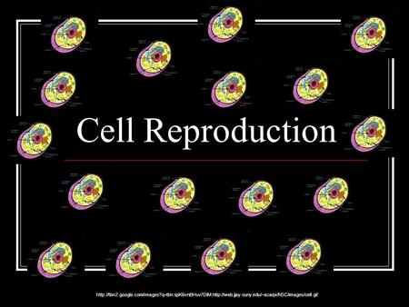 Cell Reproduction http://tbn2.google.com/images?q=tbn:spK6vnBHuv7DlM:http://web.jjay.cuny.edu/~acarpi/NSC/images/cell.gif.