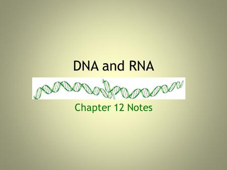 DNA and RNA Chapter 12 Notes. April 6, 2010: “D” Day Objective: To understand the importance of the structure of DNA Do Now: What is the basic structure.