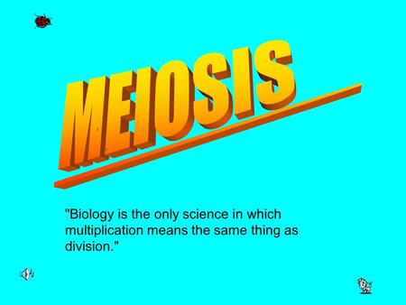 MEIOSIS Biology is the only science in which multiplication means the same thing as division.