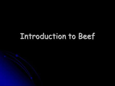 Introduction to Beef.