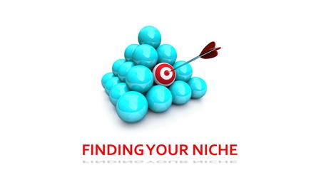 FINDING YOUR NICHE. What is a niche? A ‘niche’ is defined as a job or an activity that is very suitable for someone. Many of us go through life looking.