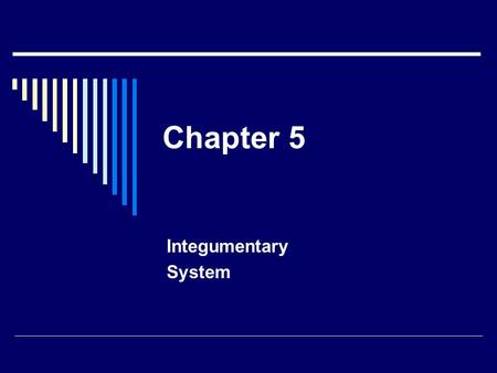 Chapter 5 Integumentary System. Learning Outcomes:  Describe the Integumentary system  List the functions of the skin  Indentify medical words related.