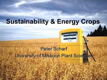 Sustainability & Energy Crops Peter Scharf University of Missouri Plant Sciences.