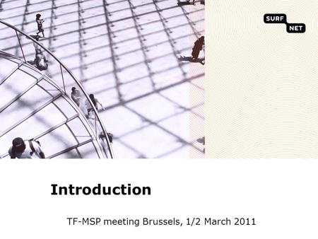 Introduction TF-MSP meeting Brussels, 1/2 March 2011.