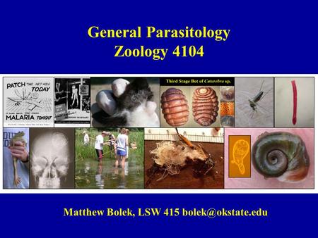 General Parasitology Zoology 4104 Matthew Bolek, LSW 415