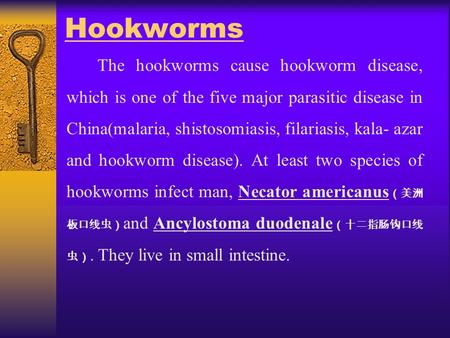 Hookworms The hookworms cause hookworm disease, which is one of the five major parasitic disease in China(malaria, shistosomiasis, filariasis, kala- azar.
