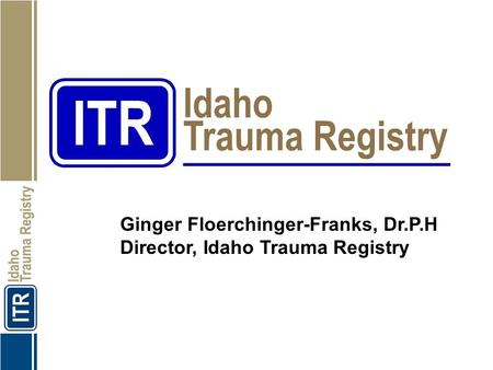 Ginger Floerchinger-Franks, Dr.P.H Director, Idaho Trauma Registry.