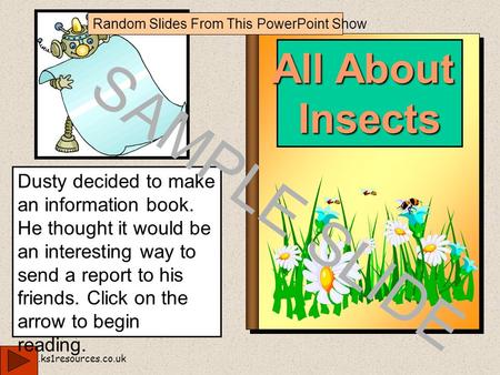 www.ks1resources.co.uk All About Insects Dusty decided to make an information book. He thought it would be an interesting way to send a report to his.