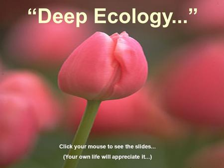 “Deep Ecology...” Click your mouse to see the slides... (Your own life will appreciate it...)
