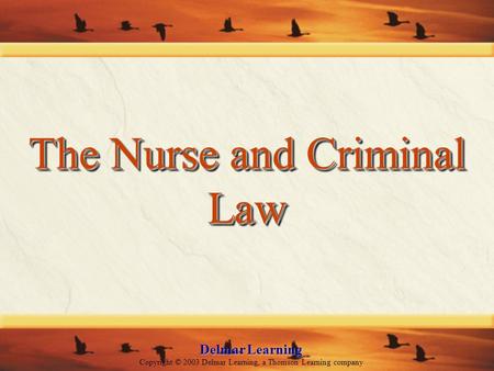 Delmar Learning Copyright © 2003 Delmar Learning, a Thomson Learning company The Nurse and Criminal Law.