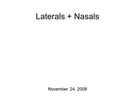 Laterals + Nasals November 24, 2008.
