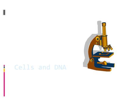 Cells and DNA. What is a cell?  A cell is the basic unit of structure in a living thing.  Cells are microscopic.  Living things are made up of trillions.