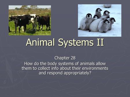 Animal Systems II Chapter 28
