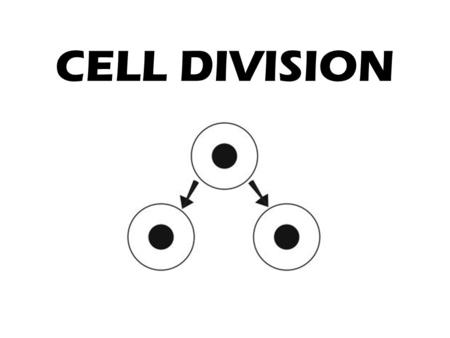 CELL DIVISION.