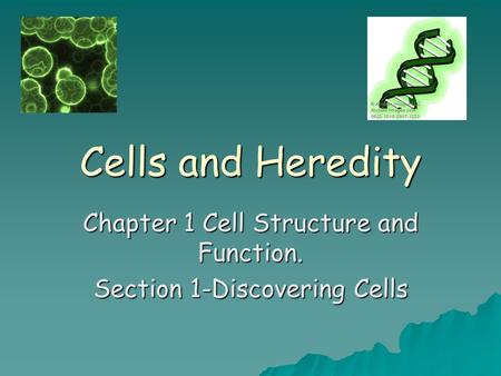 Chapter 1 Cell Structure and Function. Section 1-Discovering Cells