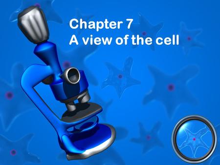 Chapter 7 A view of the cell. The History of the Cell Theory (p 172) Compound Light microscopes Invented by Anton van Leeuwenhoek 1500 x Electron microscopes.