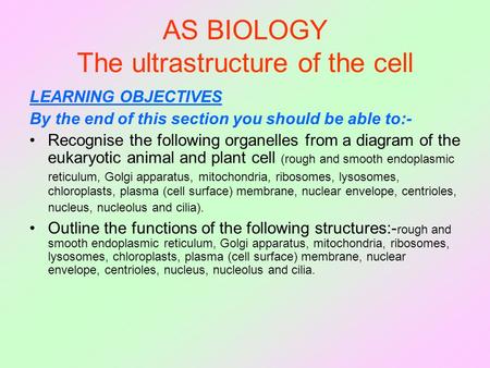 AS BIOLOGY The ultrastructure of the cell LEARNING OBJECTIVES By the end of this section you should be able to:- Recognise the following organelles from.
