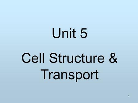 Cell Structure & Transport