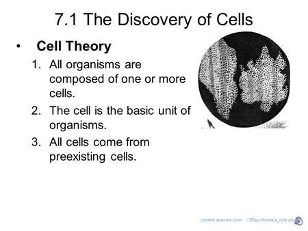 7.1 The Discovery of Cells Cell Theory 1.All organisms are composed of one or more cells. 2.The cell is the basic unit of organisms. 3.All cells come.