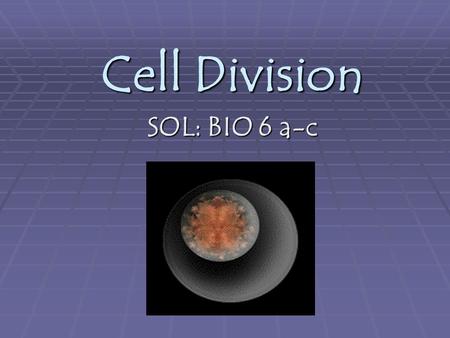 Cell Division SOL: BIO 6 a-c.  The student will investigate and understand common mechanisms of inheritance and protein synthesis.  Key concepts include: