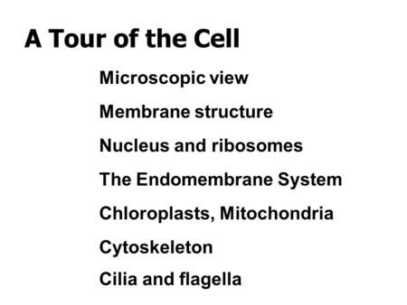 A Tour of the Cell Microscopic view Membrane structure Nucleus and ribosomes The Endomembrane System Chloroplasts, Mitochondria Cytoskeleton Cilia and.