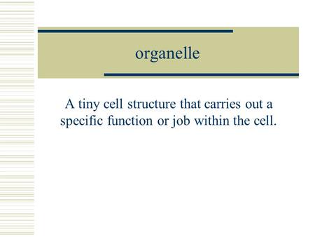 Organelle A tiny cell structure that carries out a specific function or job within the cell.