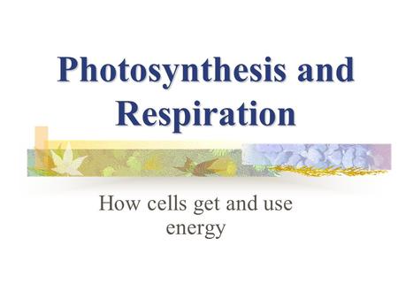 Photosynthesis and Respiration How cells get and use energy.