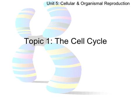 Unit 5: Cellular & Organismal Reproduction