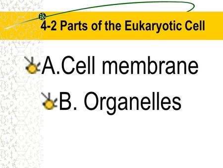 4-2 Parts of the Eukaryotic Cell