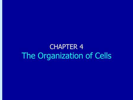 CHAPTER 4 The Organization of Cells