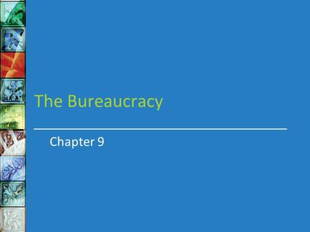 The Bureaucracy Chapter 9.