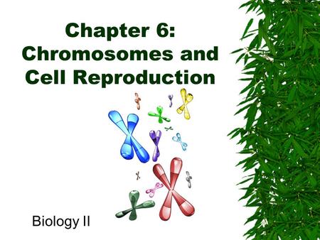 Chapter 6: Chromosomes and Cell Reproduction
