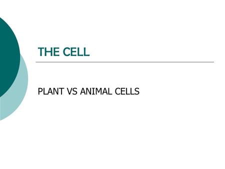 THE CELL PLANT VS ANIMAL CELLS.