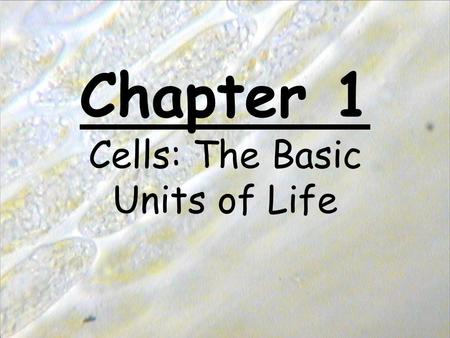 Chapter 1 Cells: The Basic Units of Life