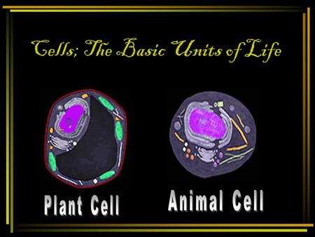 Cells; The Basic Units of Life