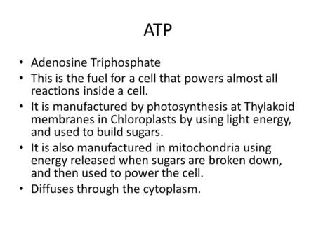 ATP Adenosine Triphosphate This is the fuel for a cell that powers almost all reactions inside a cell. It is manufactured by photosynthesis at Thylakoid.
