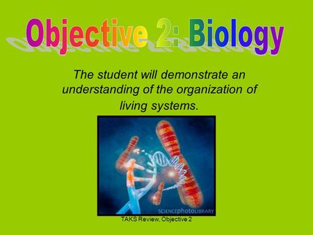 TAKS Review, Objective 2 The student will demonstrate an understanding of the organization of living systems.