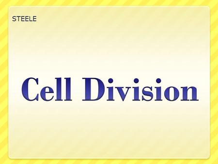 STEELE Cell Division.