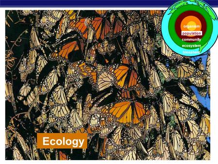 AP Biology Ecology population ecosystem community biosphere organism.