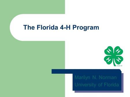 The Florida 4-H Program Marilyn N. Norman University of Florida Marilyn N. Norman University of Florida.