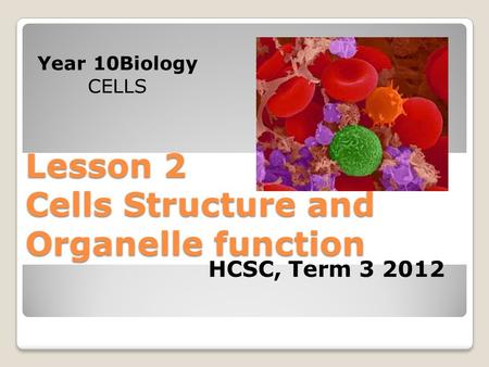 Lesson 2 Cells Structure and Organelle function