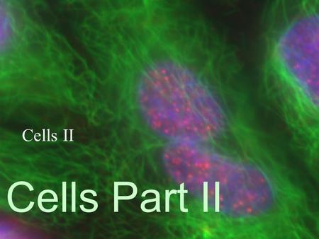 Cells II Cells Part II.